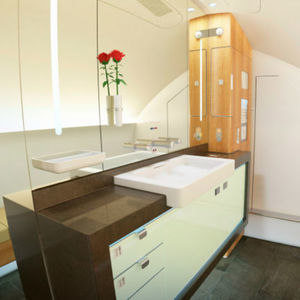 first class aircraft cabin toilet 1