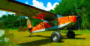 2-person VLA / single-engine / 4-stroke engine / kit