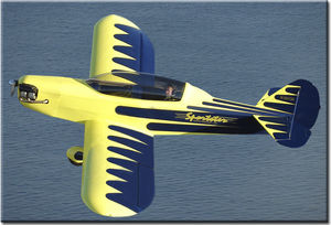 1-person LSA / 2-person / single-engine / piston engine