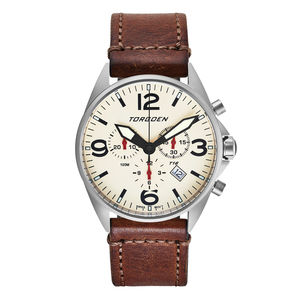 aviator watch