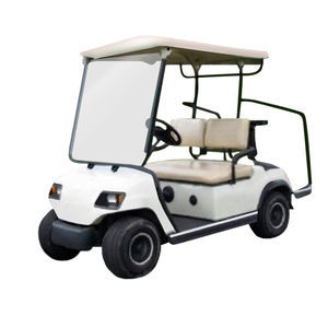 2 Pers. airport golf cart