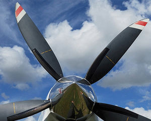 propeller de-icer