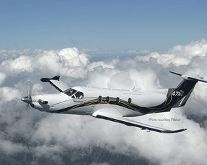 propeller de-icer