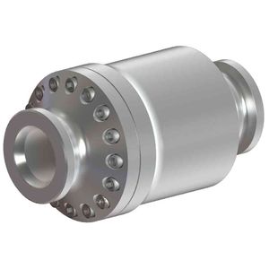 cryogenic check valve 1