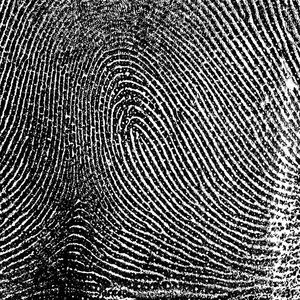 biometric software