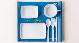 aircraft cabin dish