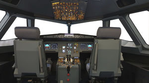 flight simulator