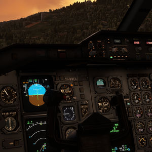 flight simulator