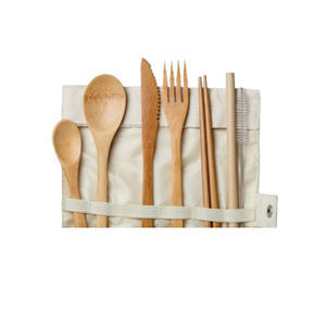 airliner cutlery kit