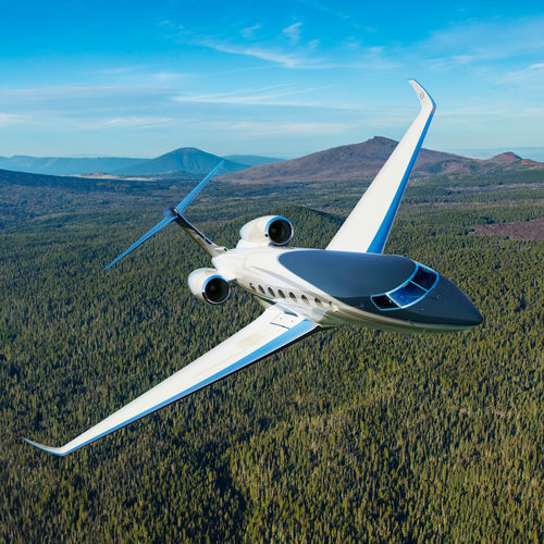 Private jet - G800  - GULFSTREAM - business / twin-engine / 11 - 20 Pers.