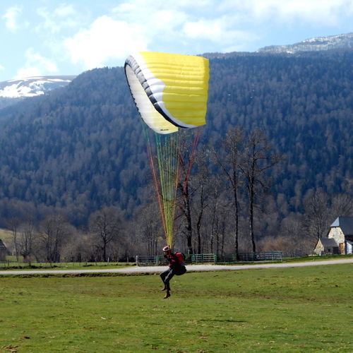 Performance paraglider - MOREA 2 - NERVURES - cross / for school / single place