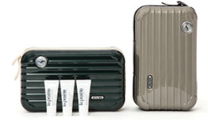 Aviation headset flight bag - SPIRIANT