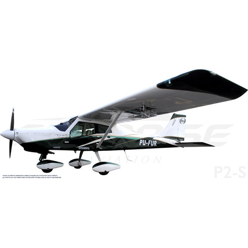 Single-engine aircraft - P2-S - Paradise Industria Aeronautica - 4-stroke engine / two-seater / VLA