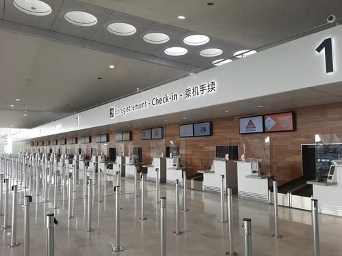 Belt conveyor - Glidepath - scale / baggage / check-in