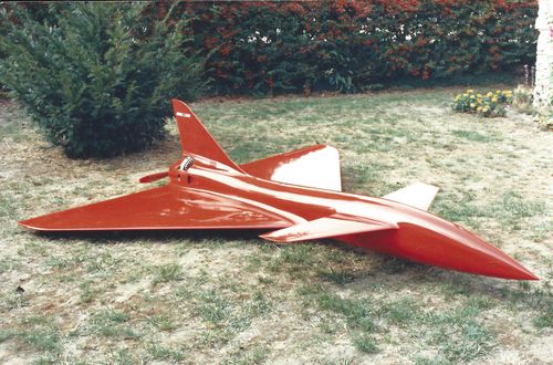 Industrial drone - Chacal 2 - Alcoretech - surveillance / reconnaissance / fixed-wing