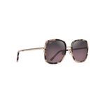 sun glasses