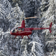 3 - 5 Pers. helicopter / utility / turbine / single-rotor