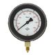 pressure gauge / analog / fuel / oil