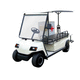 2 Pers. airport buggy / electric