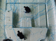 epoxy resin / for composites