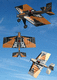 recreational aircraft / single-engine / 2-stroke engine / single-seat