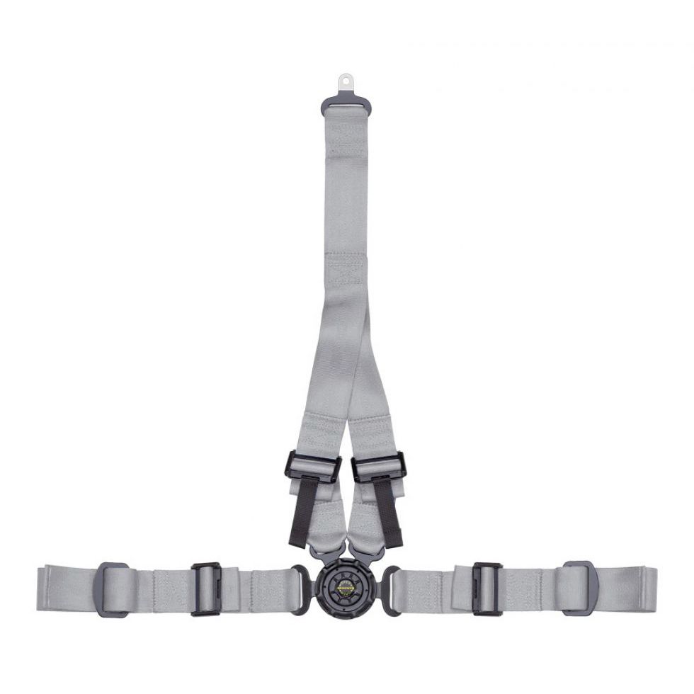 Cintura Di Sicurezza Dell'automobile Fotografia Stock - Immagine Di Scatto, Arresto: 9242310 - Foto 8