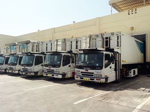 passerella di imbarco per passeggeri / a motore