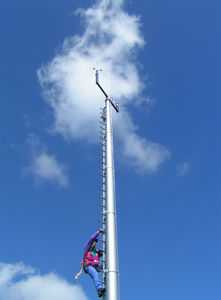 albero per stazione meteorologica