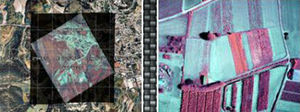 software di controllo / di analisi delle immagini / per drone / in tempo reale
