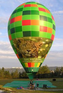 involucro per mongolfiera da competizione