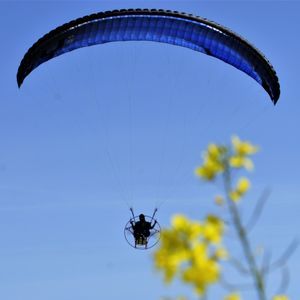 parapendio performance