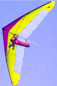 deltaplano performance