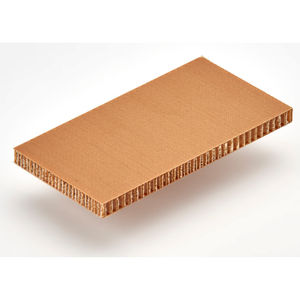 pannello sandwich per sedie / rivestimento in fibra di vetro / anima alveolare in carta aramidica / per porta