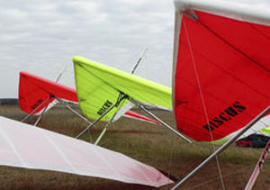 Deltaplano performance - Discus - Aeros Ltd. - intermedio / monoposto