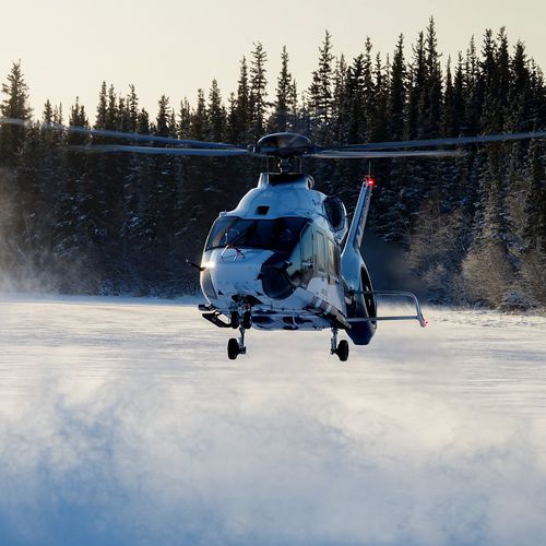 Elicottero 11 - 20 pers. - H160 - Airbus Helicopters - offshore / da trasporto civile / d'affari