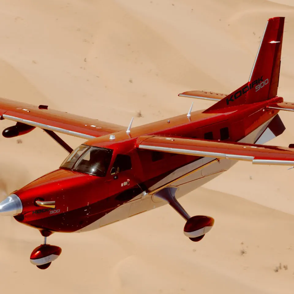 観光用飛行機 - KODIAK 900 - DAHER - プライベート / ビジネス / 単発