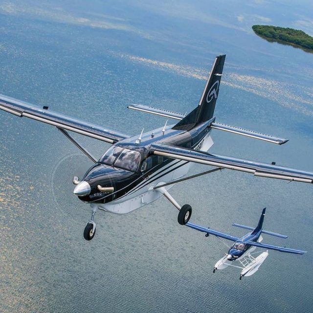 観光用飛行機 - KODIAK 100 - DAHER - プライベート / ビジネス / 単発