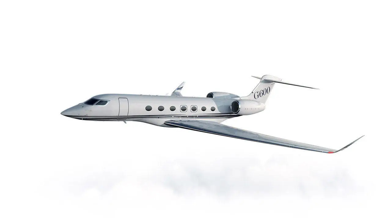 プライベート飛行機 - G600 - GULFSTREAM - ビジネス / ツインエンジン
