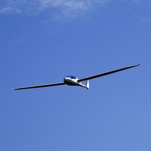 モ－タ－グライダー - TAURUS Electro - Pipistrel d.o.o - 2人乗り