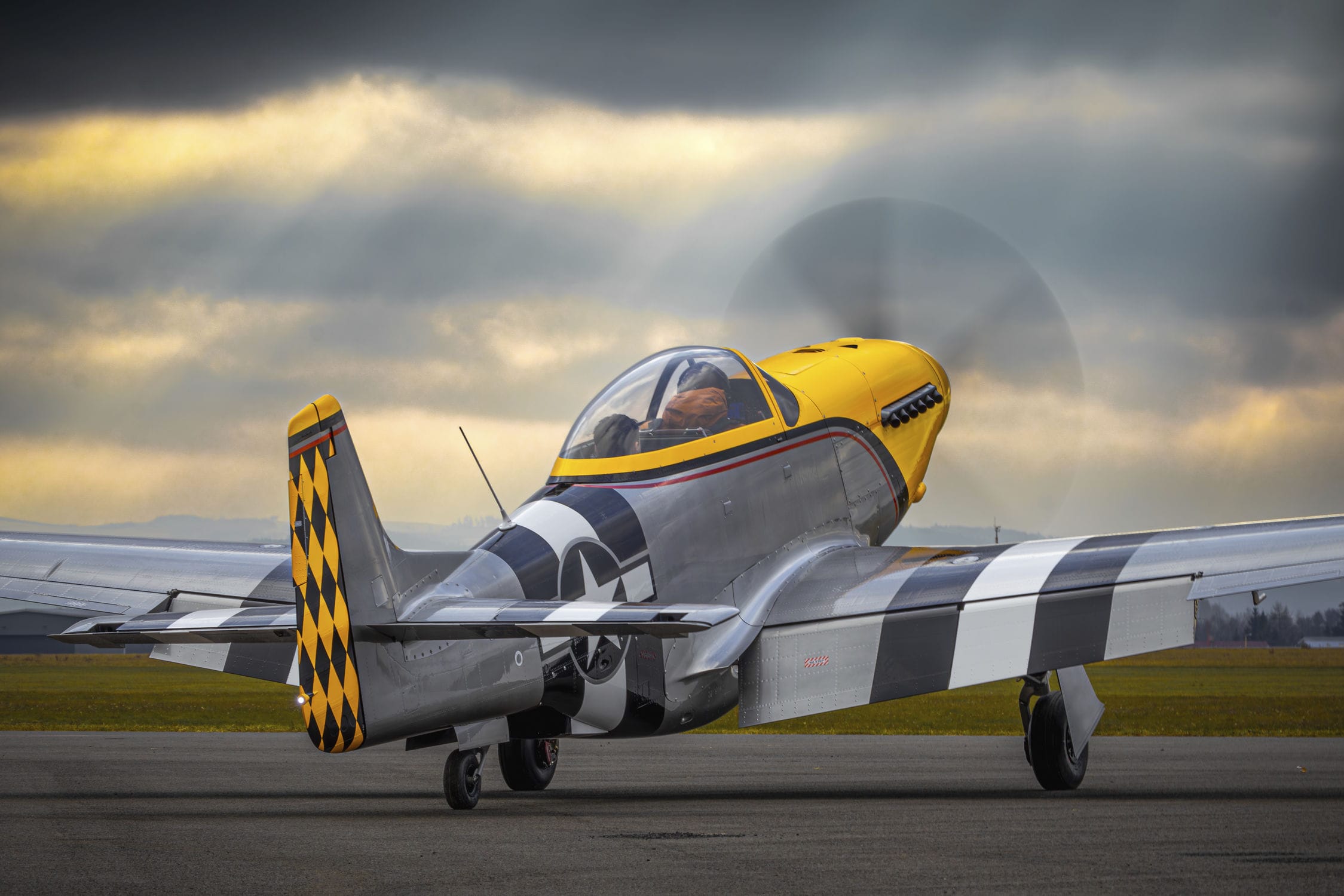 曲技用飛行機 - SW-51 MUSTANG - ScaleWings Aircraft GmbH - 単発