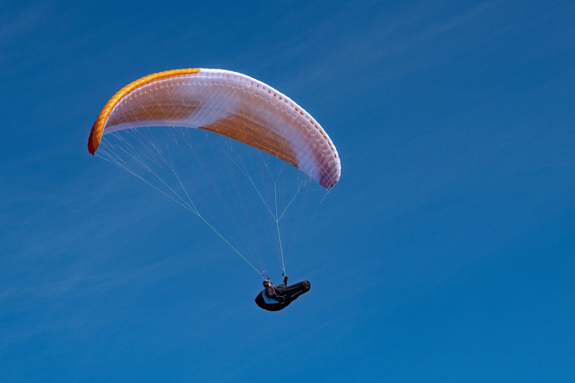 性能パラグライダー - APOLLO 2 light - SKY-Paragliders - 1人用