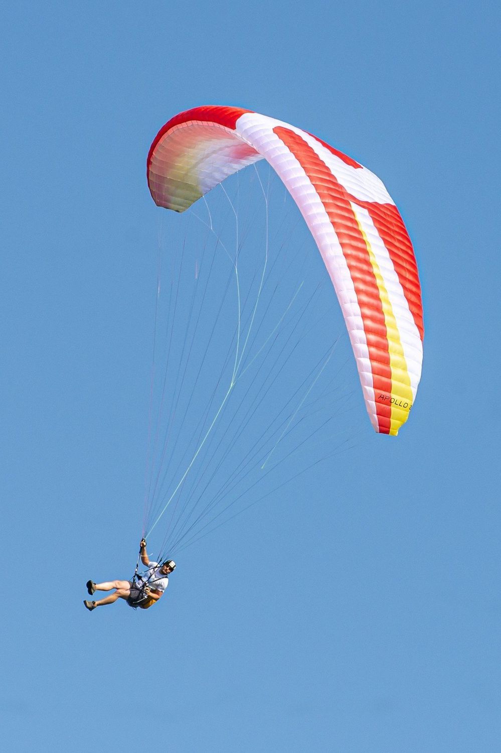 性能パラグライダー - APOLLO 2 light - SKY-Paragliders - 1人用