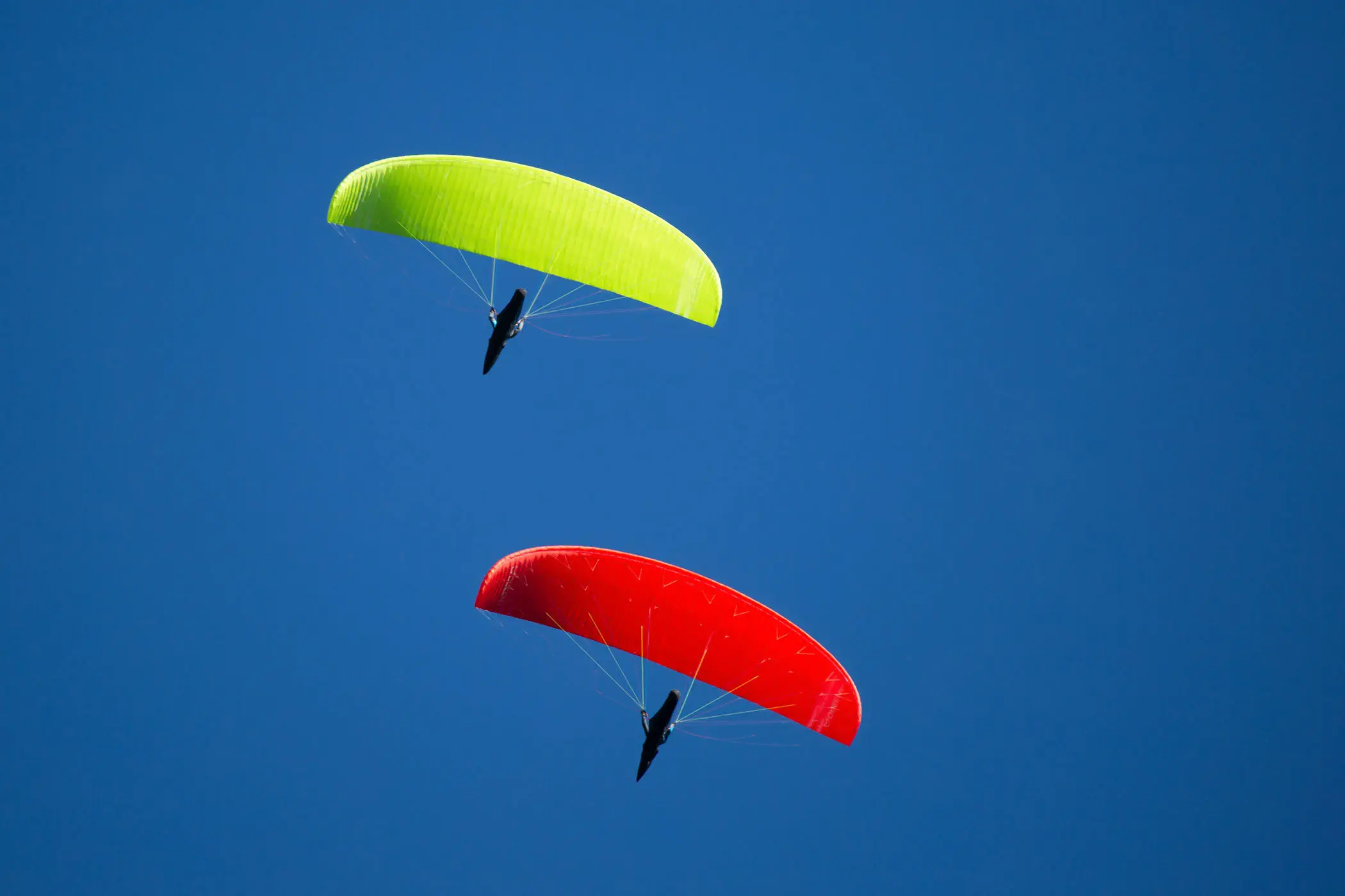 性能パラグライダー - QUEEN 3 - Triple Seven Gliders - 1人用 