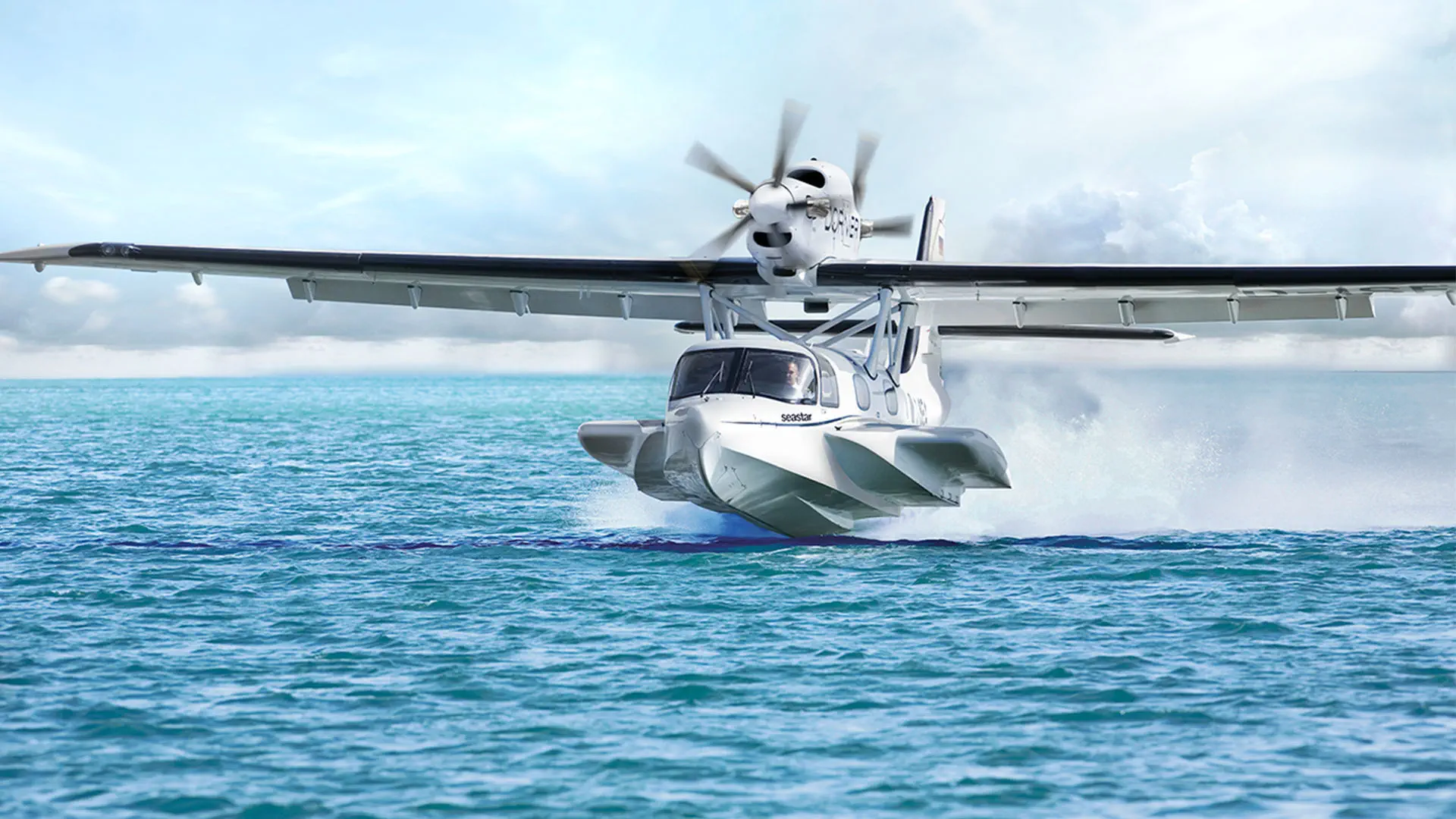 捜索救助用水上機 - seastar - Dornier Seawings - 観光用 / ツイン