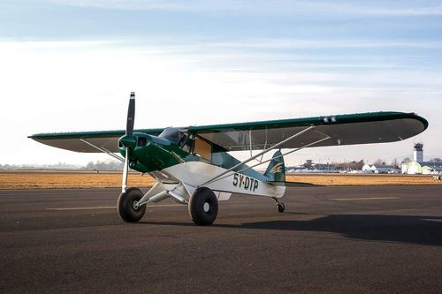 教育用飛行機 - TOP CUB - HORUS AERO - 観光用 / 単発 / ピストンエンジン