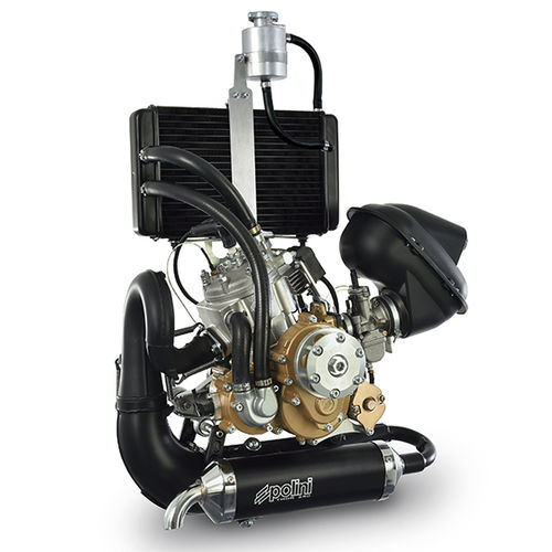 10 - 50hpピストンエンジン - THOR 250 - POLINI MOTORI SPA - 10 - 50kg / パラモーター / 2ストローク