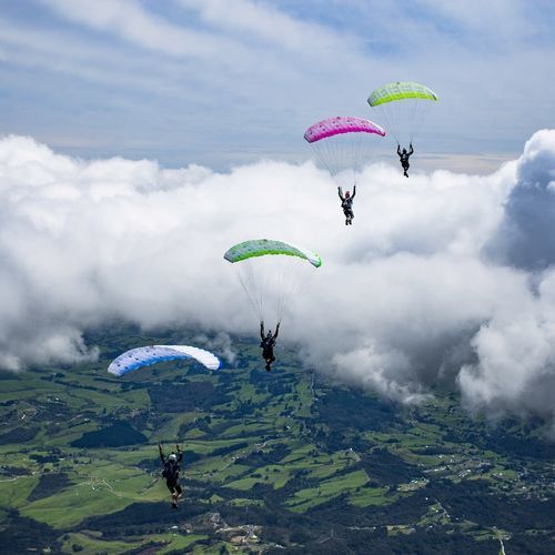 スポーツパラシュート - LEIA - NZ Aerosports - 性能 / 1人用