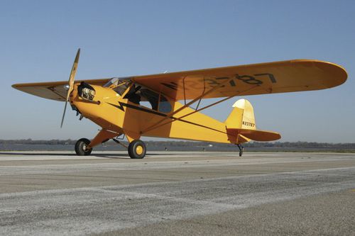 単発飛行機 - Legend Cub, Open Cowl - American Legend - ピストンエンジン / 2人乗り / 軽量スポーツ