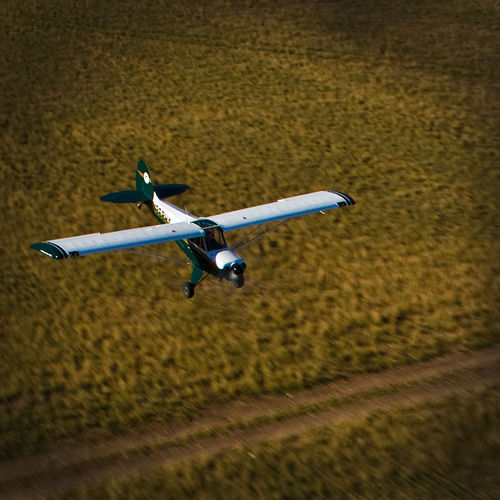 観光用飛行機 - Husky 180 HP - Aviat Aircraft, Inc. - 単発 / ピストンエンジン / 2人乗り