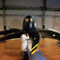牽引式航空機用プロペラCollins Aerospace - UTC Aerospace Systems